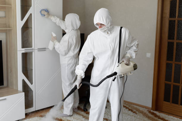 24/7 Emergency Odor Removal experts in Montague, NJ
